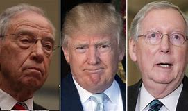 Conservatives Praise Trump, McConnell, and Grassley on Judges